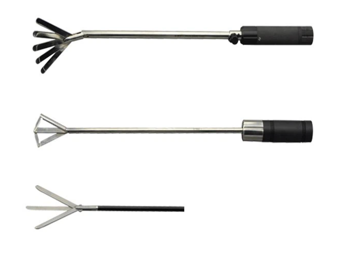 Fan-Shaped Forceps