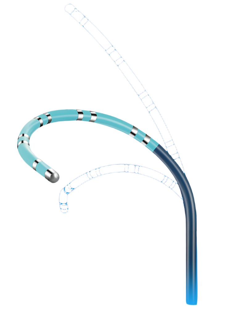 Steerable Decapolar Mapping Catheter