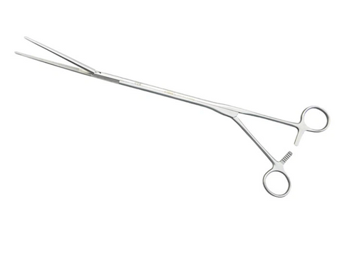 Thoracic tissue forceps, oval type