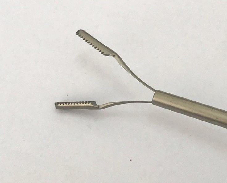 Spring Forceps