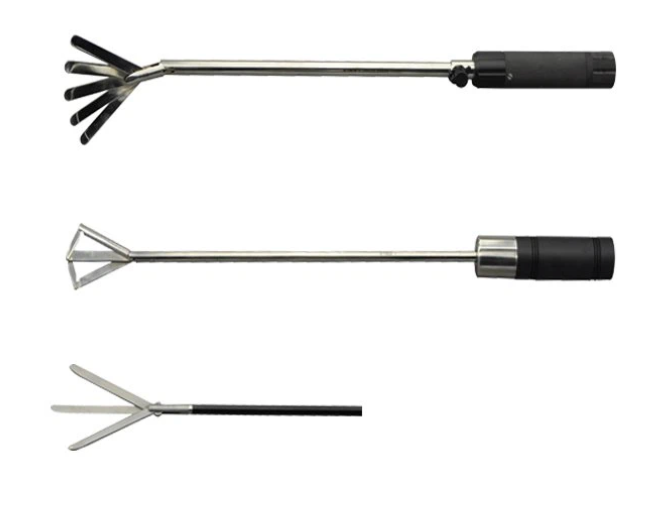 Fan-shaped Forceps