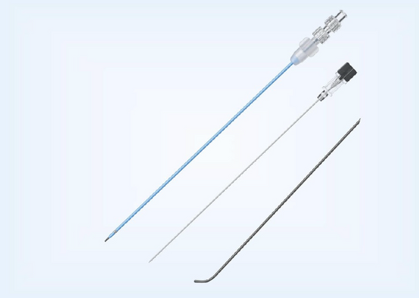 Drainage Catheters and accessories (Percutaneous Access Set)