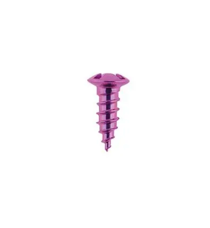 1.5 Self Drilling Screw