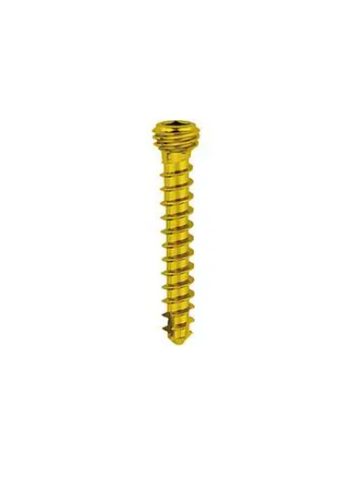 2.0 2.4 Locking Screw