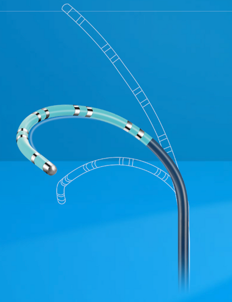 SinusFlex Steerable Decapolar Mapping Catheter