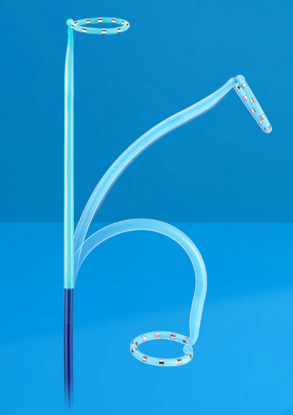 Steerable PV mapping catheter