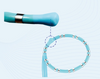 Steerable PV mapping catheter